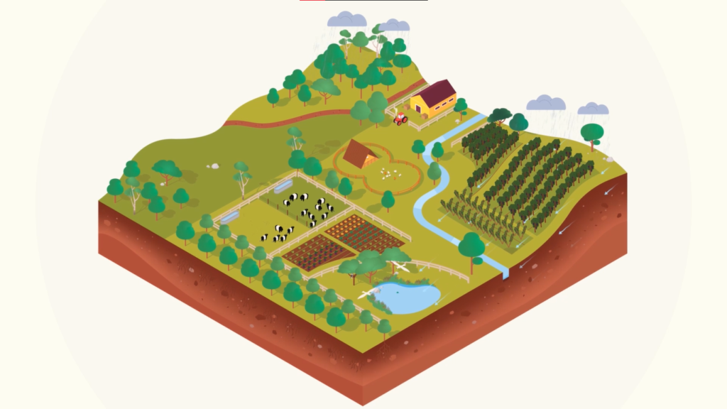 Water Recycle Explainer – 3D Isometric Environmental Animation